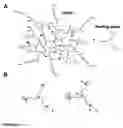 Fig. 02 - Antithrombotic compounds, methods and uses thereof