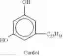 Fig. 04 - Sprayable polyurethane coating