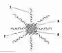 Fig. 01 - Method for making a perovskite quantum dot material