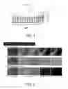 Fig. 02 - Liquid crystal device