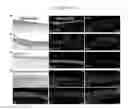 Fig. 02 - CULTURED MAMMALIAN LIMBAL STEM CELLS, METHODS FOR GENERATING THE SAME, AND USES THEREOF