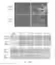 Fig. 02 - TISSUE-SPECIFIC DIFFERENTIATION MATRICES AND USES THEREOF