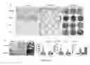 Fig. 09 - TISSUE-SPECIFIC DIFFERENTIATION MATRICES AND USES THEREOF