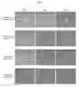 Fig. 02 - Synthetic peptide and use thereof