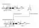 Fig. 02 - Production for recombinant human DNase I