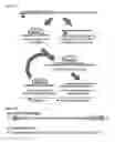 Fig. 03 - Twist signaling inhibitor compositions and methods of using the same