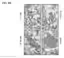 Fig. 12 - Twist signaling inhibitor compositions and methods of using the same