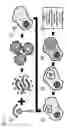 Fig. 14 - Twist signaling inhibitor compositions and methods of using the same