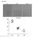 Fig. 20 - Twist signaling inhibitor compositions and methods of using the same