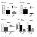 Fig. 40 - Twist signaling inhibitor compositions and methods of using the same