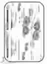 Fig. 13 - Compositions and methods for modifying a predetermined target nucleic acid sequence