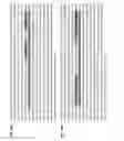 Fig. 35 - NON-DISRUPTIVE GENE TARGETING