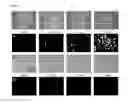 Fig. 07 - Bioactivity testing structure for single cell tracking using gelling agents