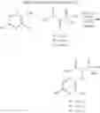 Fig. 16 - Substituted imidazo[1,2-a]pyrazines as luciferase substrates and preparation method thereof