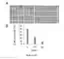 Fig. 02 - Fixation Method for Single Cell Analysis