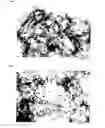 Fig. 02 - METHOD FOR ELECTROCHEMICAL OXYGEN REDUCTION IN ALKALINE MEDIA