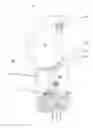 Fig. 01 - FLUSHING DEVICE