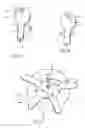 Fig. 02 - Magnetic key assembly