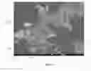 Fig. 08 - Polycrystalline diamond compacts having interstitial diamond grains and methods of making the same