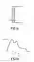 Fig. 02 - Blade for a wind turbine