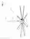 Fig. 02 - Ceiling fan with moisture protection features