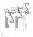 Fig. 07 - Electric braking device for vehicle