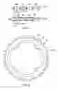 Fig. 02 - Alternating tooth chain ring