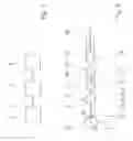 Fig. 02 - Flow output determination method for a hydraulic pump in a transmission hydraulic system