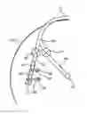 Fig. 01 - Corrosion inhibition