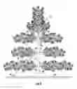 Fig. 04 - TREE AND POLE SUPPORT