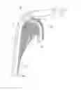 Fig. 01 - Vehicle lamp
