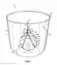 Fig. 03 - Candle with embedded object