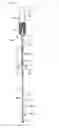 Fig. 07 - BIOLOGICAL SUBSTANCE EXTRACTION DEVICE AND BIOLOGICAL SUBSTANCE EXTRACTION APPARATUS