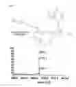 Fig. 07 - Specific targeting of RNA expanded repeat sequences