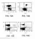 Fig. 13 - Methods and kits for screening transplant recipients and candidates