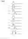 Fig. 08 - Ranging method and ranging device