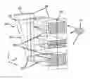 Fig. 01 - LIGHT PIPE TEXTURING INTENSITY GRADIENT FOR ELECTRONIC DEVICES