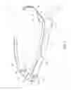 Fig. 02 - Head mounted image display apparatus