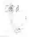 Fig. 06 - Head mounted image display apparatus