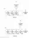 Fig. 06 - Enhanced multi-streaming though statistical analysis