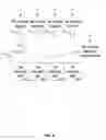Fig. 07 - Enhanced multi-streaming though statistical analysis