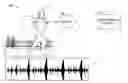Fig. 01 - Physiological control based upon media content selection