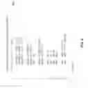 Fig. 06 - Method and apparatus to process 4-operand SIMD integer multiply-accumulate instruction