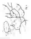Fig. 02 - Arrangement and method for predicting road friction within a road network