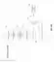 Fig. 18 - Integrated Security Inspection System