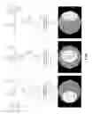 Fig. 06 - Image distortion transformation method and apparatus