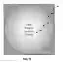 Fig. 09 - Foveated video rendering