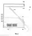 Fig. 04 - Hybrid-image display device