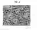 Fig. 04 - Platinum oxide colloidal solution, manufacturing method therefor, manufacture apparatus thereof, and method of injection noble metal of boiling water nuclear power plant