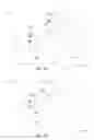 Fig. 04 - Growing groups III-V lateral nanowire channels